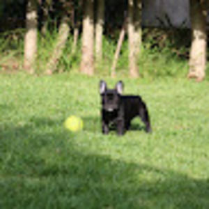 Meet your Posher, Liliana